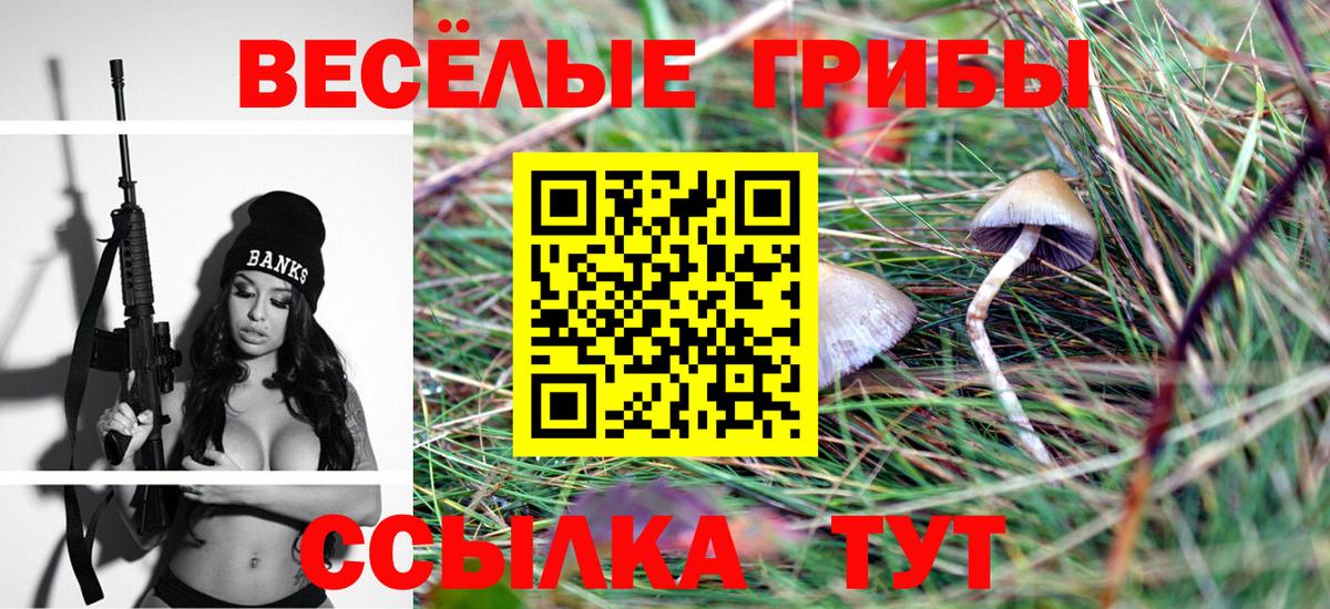 Псилоцибиновые грибы Psilocybine cubensis  Вход с VPN  Малоярославец 