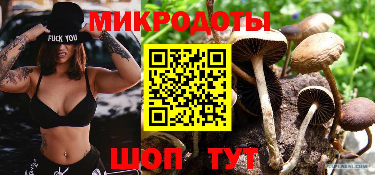 Псилоцибиновые грибы MAGIC MUSHROOMS Малоярославец